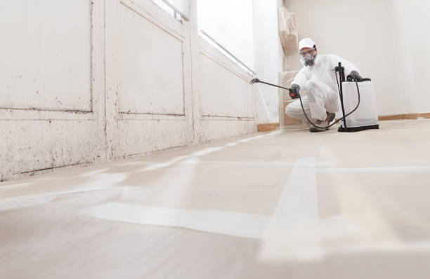 24/7 Emergency Mold Remediation experts in Nashville, IL