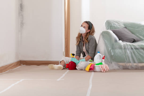 Reliable Mold Remediation contractor in Nashville, IL by Cheap Mold Removal